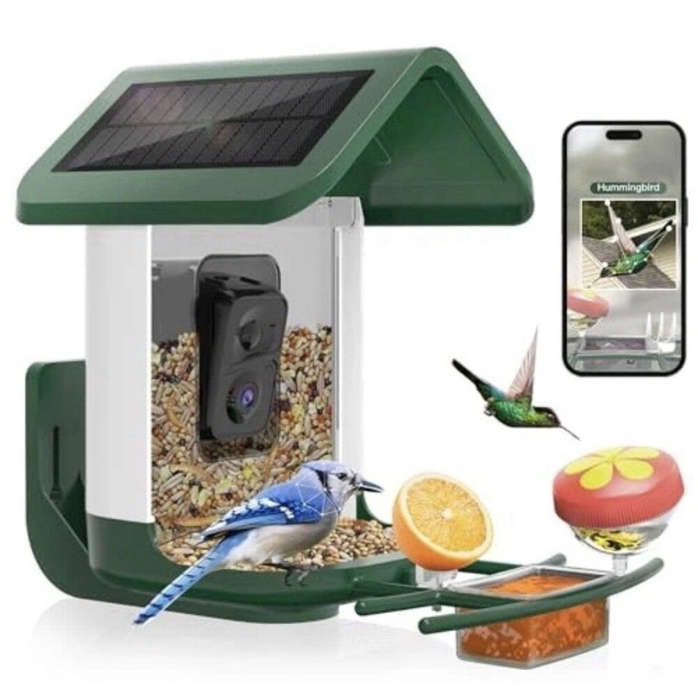 Onlyfly Bird Feeder with Camera Solar Powered : Smart Camera Bird Feeder 2K Live
